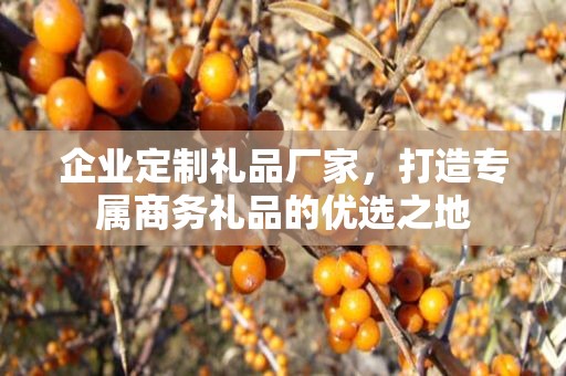 企业定制礼品厂家，打造专属商务礼品的优选之地