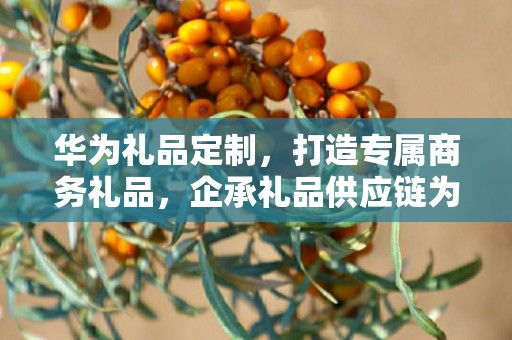华为礼品定制，打造专属商务礼品，企承礼品供应链为您呈现